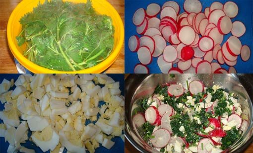 Весенний салат из крапивы с редисом рецепт с фото 